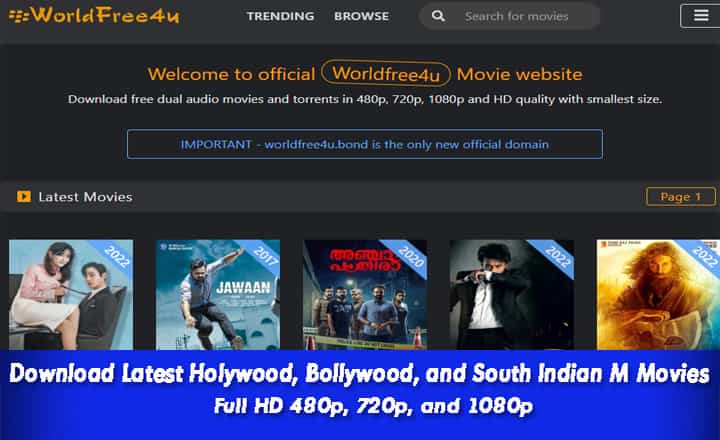 Worldfree4u - Download Bollywood, Hollywood and South Movies -Facts